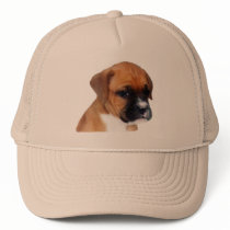 Boxer puppy hat