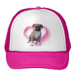 Boxer puppy hat