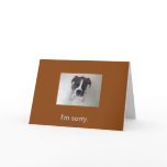 Boxer puppy I'm sorry card.