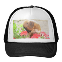 Boxer Puppy in Petunias cap Mesh Hat