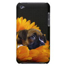 Boxer puppy in sunflower barely there iPod cases