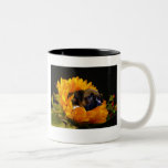 Boxer puppy in Sunflower mug