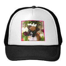 Boxer puppy in tulips mesh hat