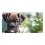 Boxer puppy photocard