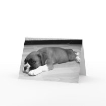 Boxer puppy " Sasha" relaxing greeting card