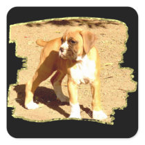 Boxer puppy stickers