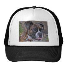 Boxer Reagan Mesh Hats