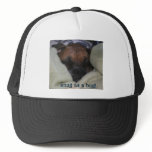 Boxer:  Snug as a Bug Hats