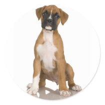 Boxer Sticker