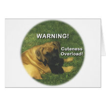 Boxer: Warning! Cuteness Overload! Greeting Cards