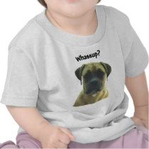 Boxer:  Whassup? Shirts