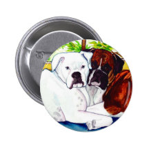 Boxers Fawn and White Pinback Button