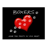 Boxers leave paw prints on ur heart Post card