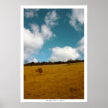 BOXHILL posters