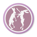 BOXING HARES2 magnets