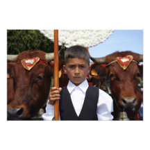 Boy and oxen photo art