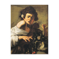 Boy Bitten by a Lizard, Caravaggio Post Cards