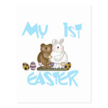 Boy Bunny My First Easter Tshirts and Gifts Post Cards