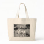Boy feeding antelope bags
