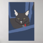 boy poster
