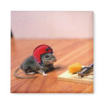 Boy Scout Mouse Magnets