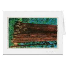 Boy Scout Tree on Redwood HighwayRedwoods, CA Card