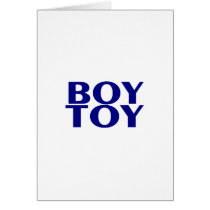 Boy Toy