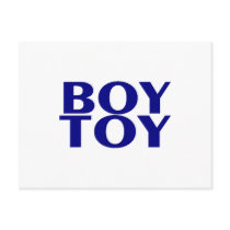 Boy Toy