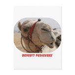 Boycott Pedicures Postcards