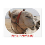 Boycott Pedicures Postcards