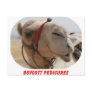 Boycott Pedicures Postcards