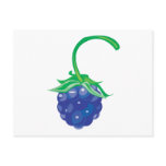 boysenberry postcard