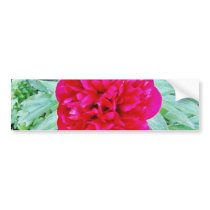 Bozur Bumper Stickers