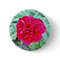Bozur Button