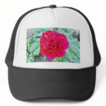 Bozur Hat