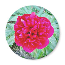 Bozur Refrigerator Magnet