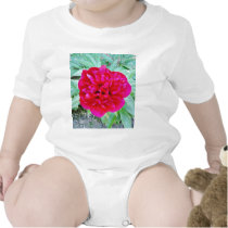 Bozur Tshirts