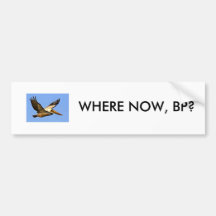 BP OIL SPILL BUMPER STICKERS