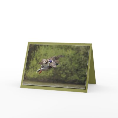Brace of Ducks Card by Welshpixels