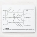 Brachial Plexus mouse mat mousepads