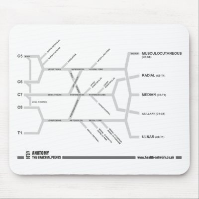 Brachial Plexus mouse mat Mouse Pads by stinkyrich
