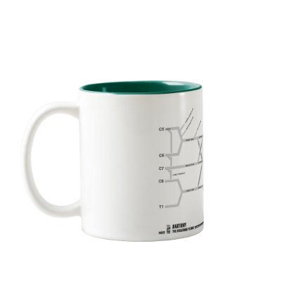 Brachial Plexus Mug by stinkyrich