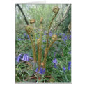 Bracken and bluebells at Foxley Wood, Norfolk Greeting Card