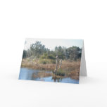 Brackish Pond Buxton NC OBX Note Card