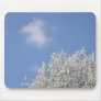 Bradford Pear Tree and Blue Skies Mousepad