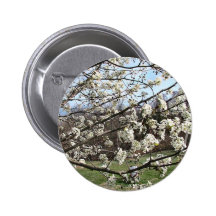 Bradford Pear Tree Blossoms Pin