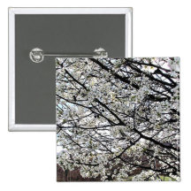 Bradford Pear Tree Blossoms Pinback Button