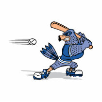 Bradley Blue Jay Photo Sculptures