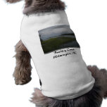 Bradley Creek, Wilmington, NC pet clothing