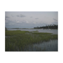 Bradley Creek, Wilmington, NC Postcard